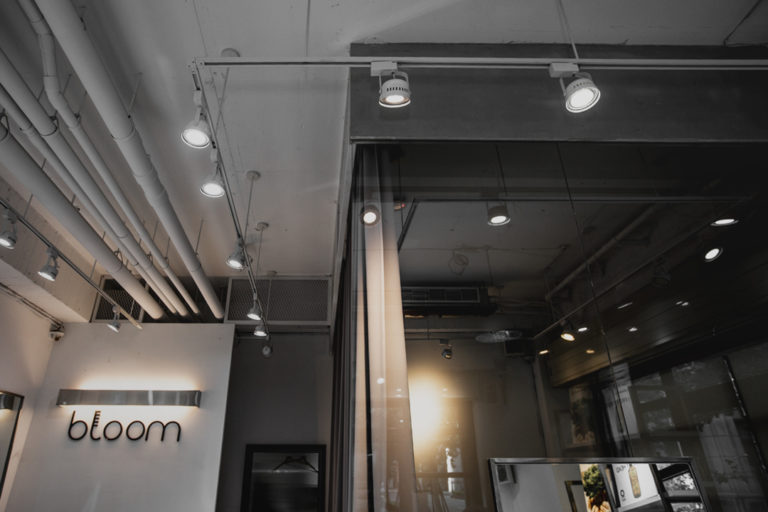 Read more about the article Bloom